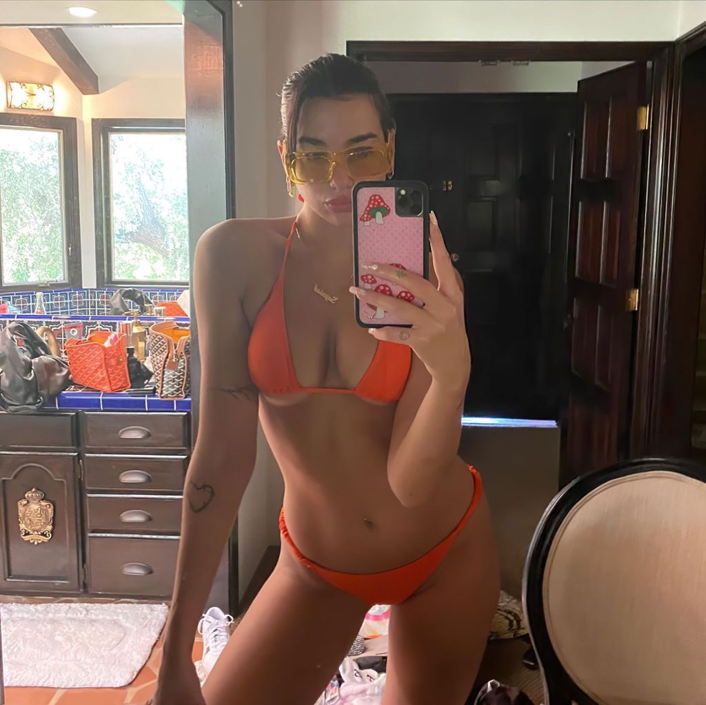 Dua Lipa Shows Off Her Bikini Body (4 Photos)