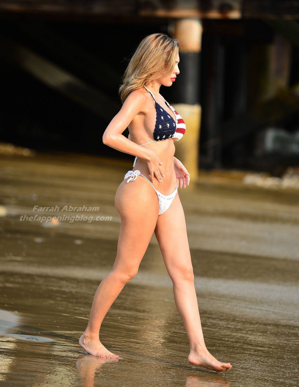Farrah Abraham Shows Off Her Amazing Body in a Skimpy Patriotic Bikini (45 Photos)