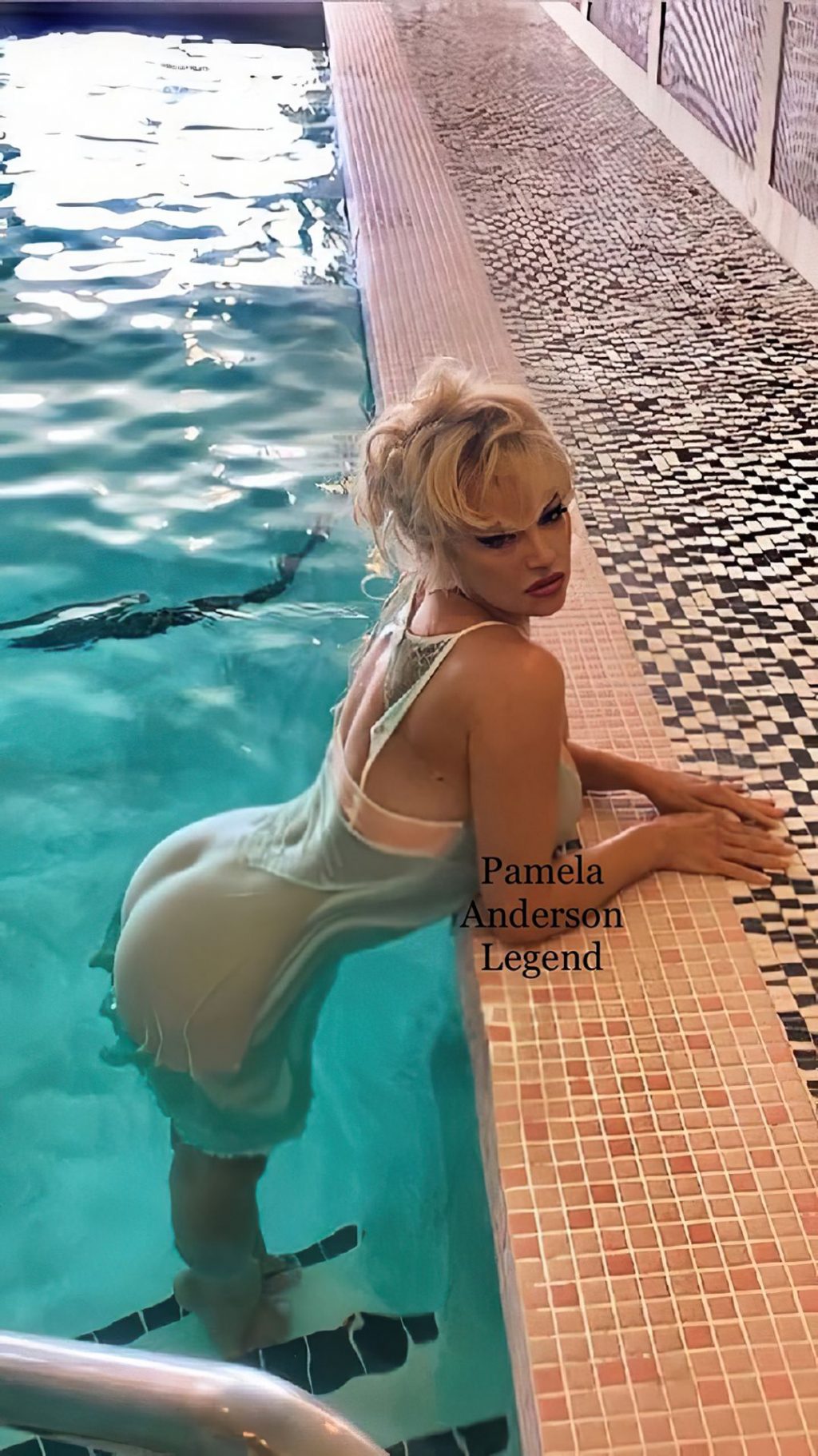 Pamela Anderson Sexy (29 New Photos)