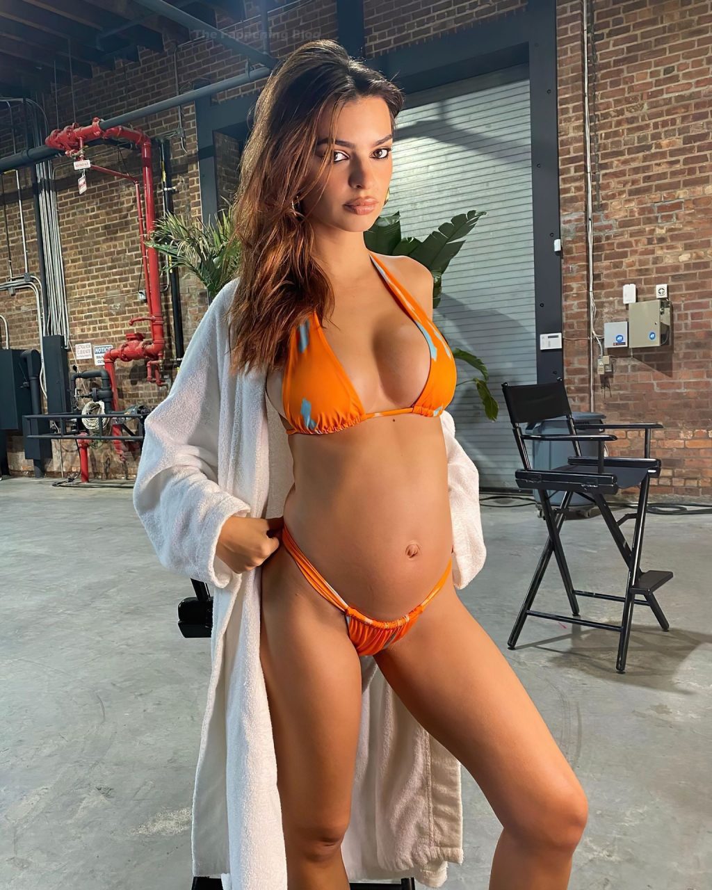 Emily Ratajkowski Shows Off Her Pregnant Body in Bikinis (6 Photos)