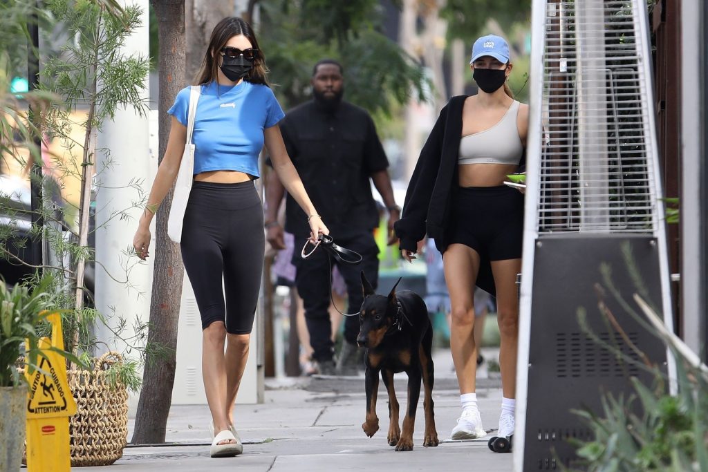 Kendall Jenner &amp; Hailey Bieber Head to Lunch in WeHo (13 Photos)