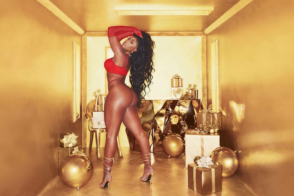 Megan Thee Stallion Poses for a New Holiday 2020 Campaign (8 Photos)