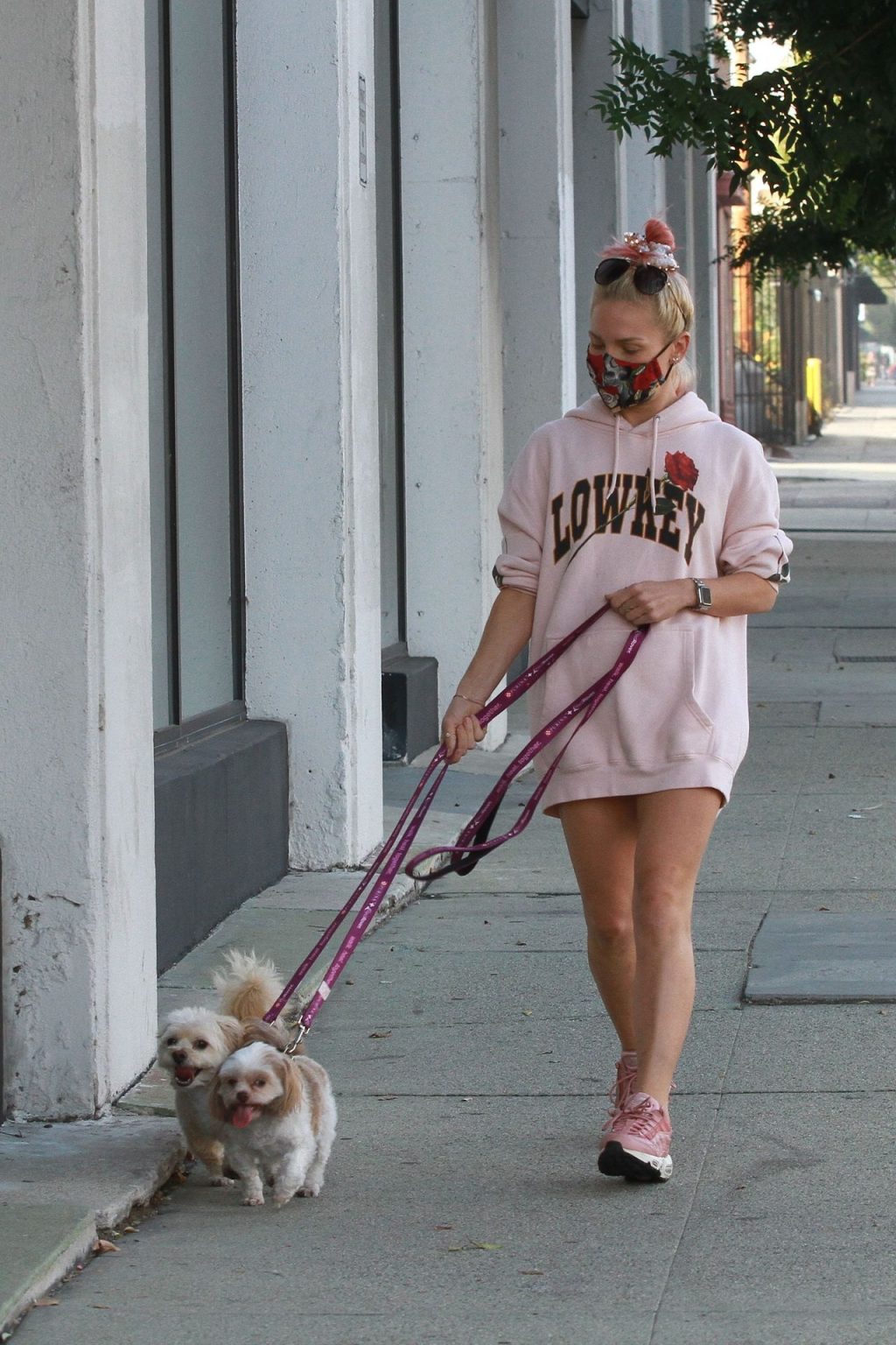 Sharna Burgess Brings Her Dogs to the DWTS Dance Studio (38 Photos)