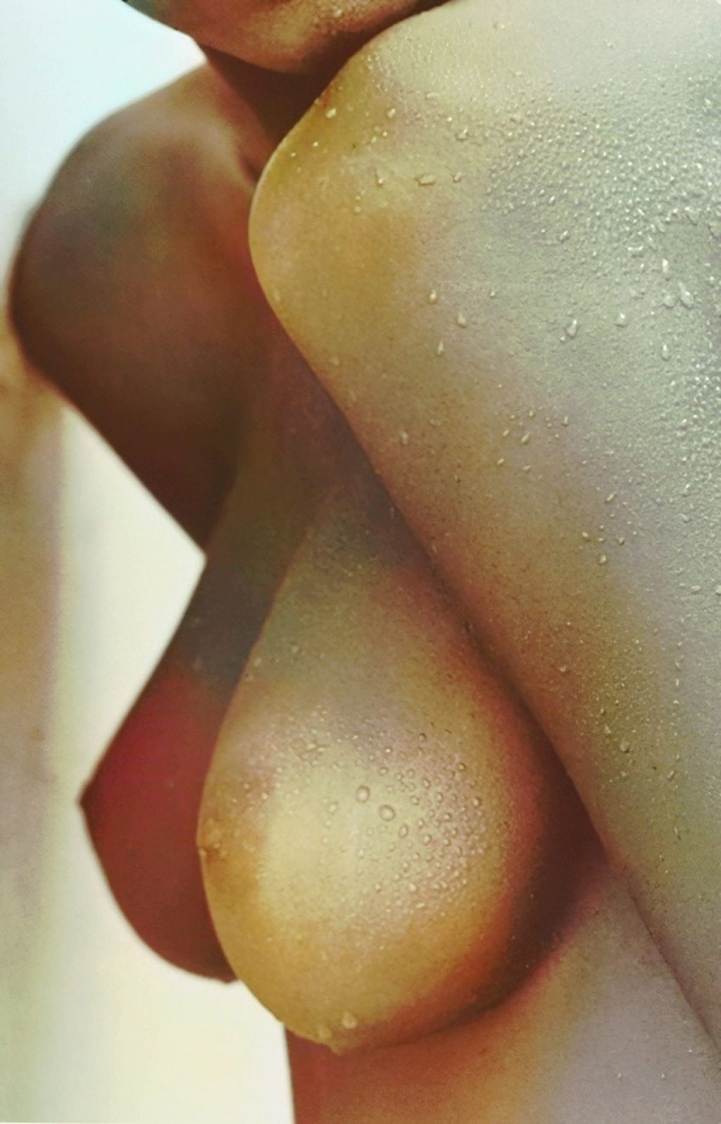Stephanie Seymour Nude Ultimate Collection (80 Photos)