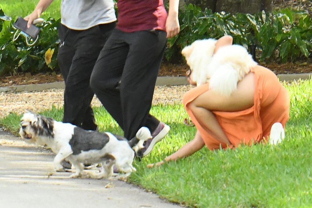 Shawn Mendes &amp; Camila Cabello Struggle with their Dogs on a Walk (139 Photos)