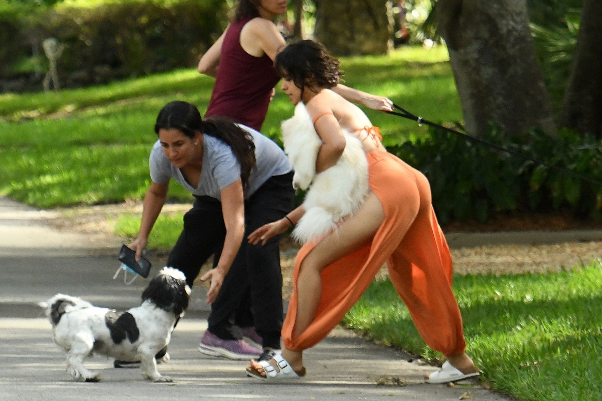 Shawn Mendes & Camila Cabello Struggle with their Dogs on a Walk (139 P...