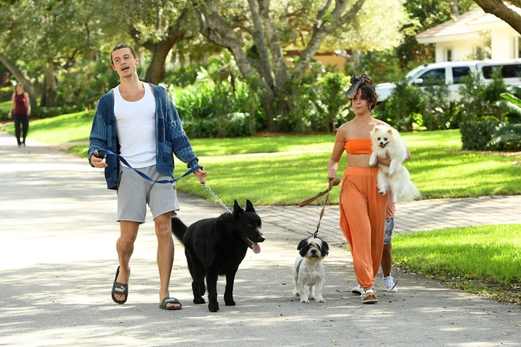 Shawn Mendes &amp; Camila Cabello Struggle with their Dogs on a Walk (139 Photos)