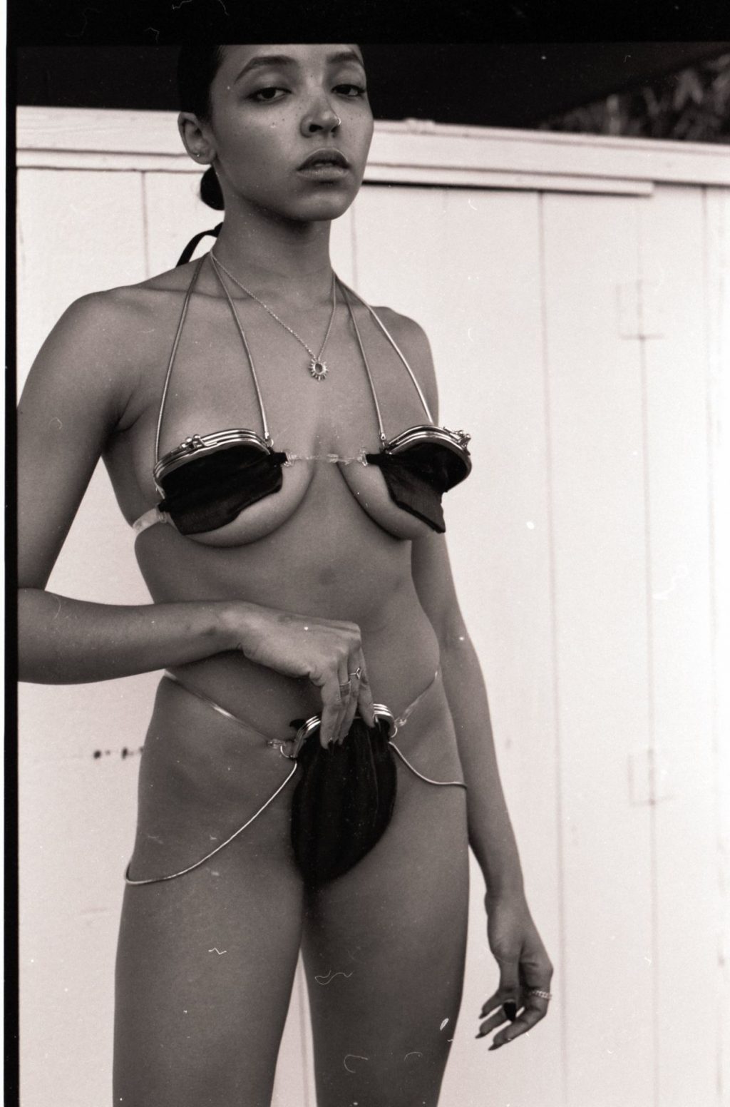 Tinashe Nude &amp; Sexy (41 Photos)