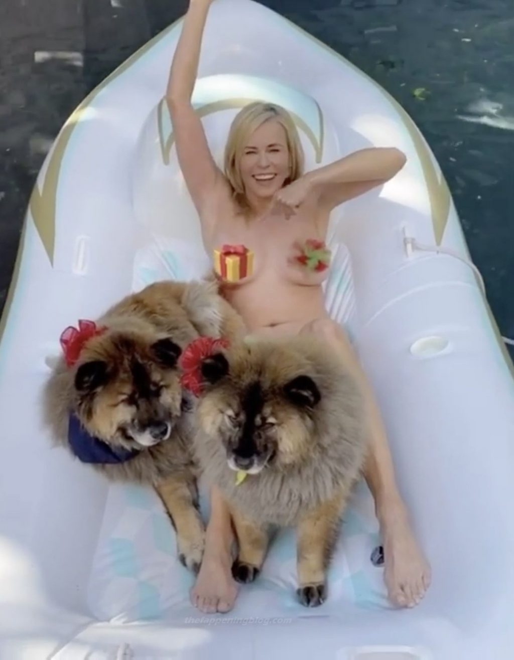 Chelsea Handler Poses Topless (8 Photos)