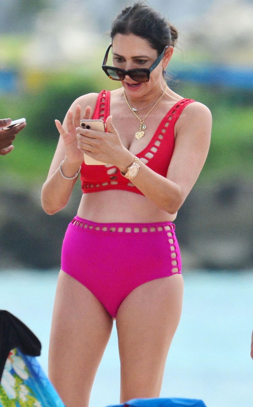 Lauren Silverman is Pictured Looking Hot in a Pink Bikini on Vacation in Barbados (42 Photos)