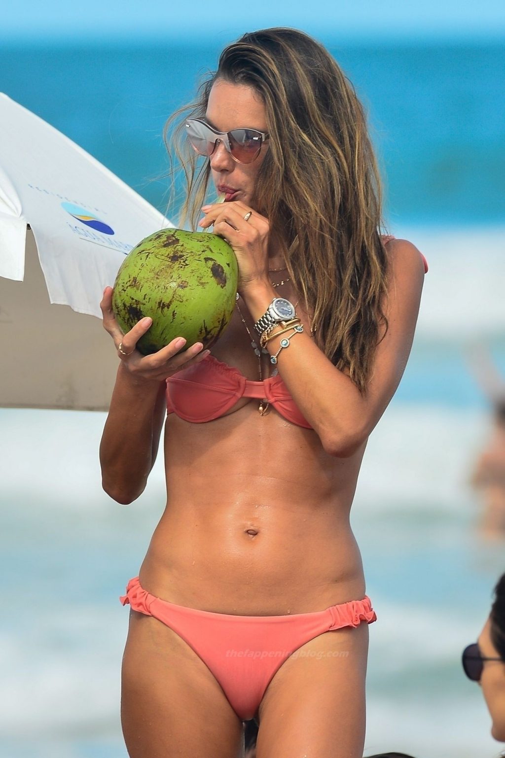 Alessandra Ambrosio Looks Hot on the Beach in Brazil (64 Photos)