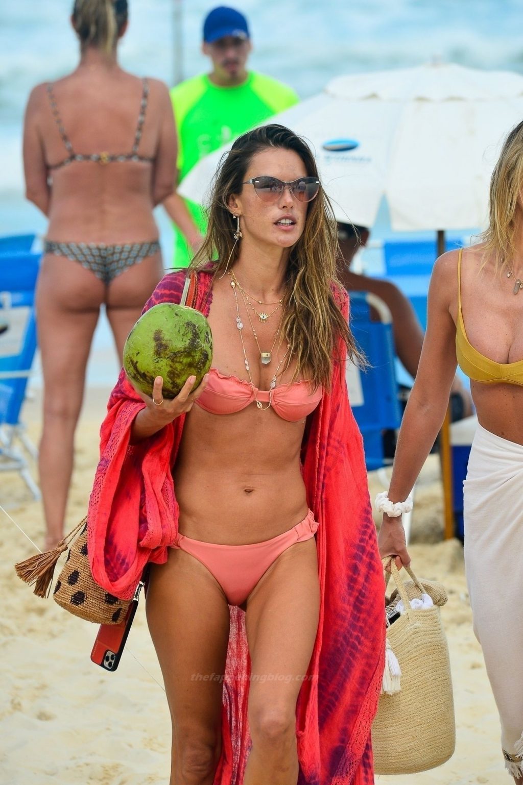 Alessandra Ambrosio Looks Hot on the Beach in Brazil (64 Photos)