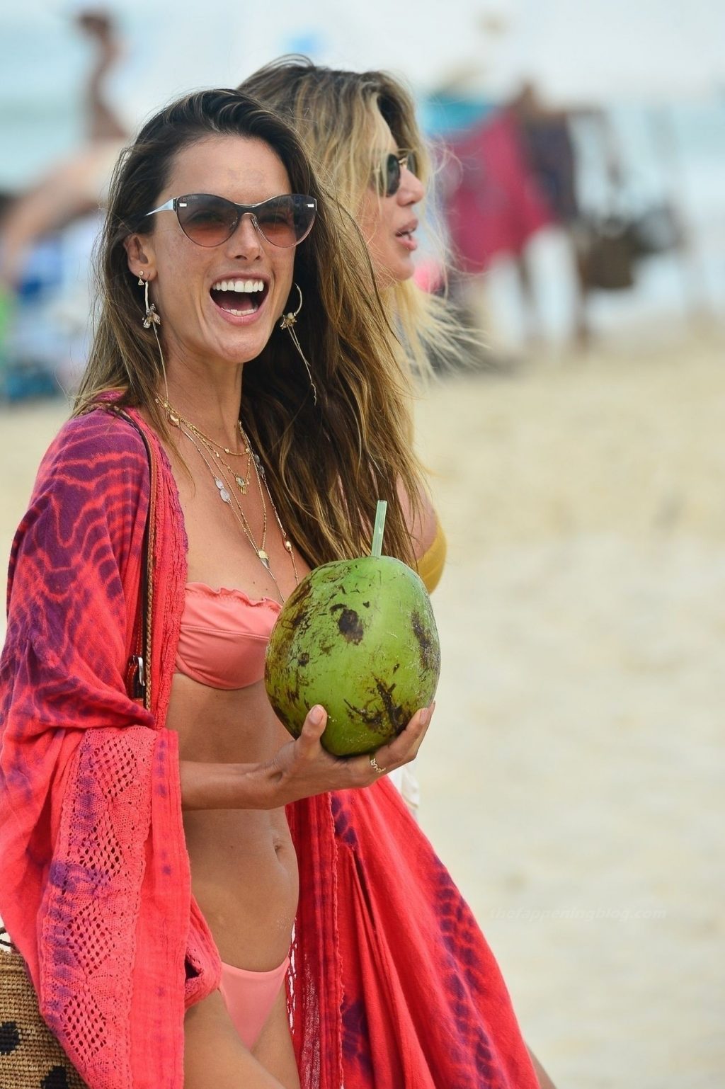 Alessandra Ambrosio Looks Hot on the Beach in Brazil (64 Photos)