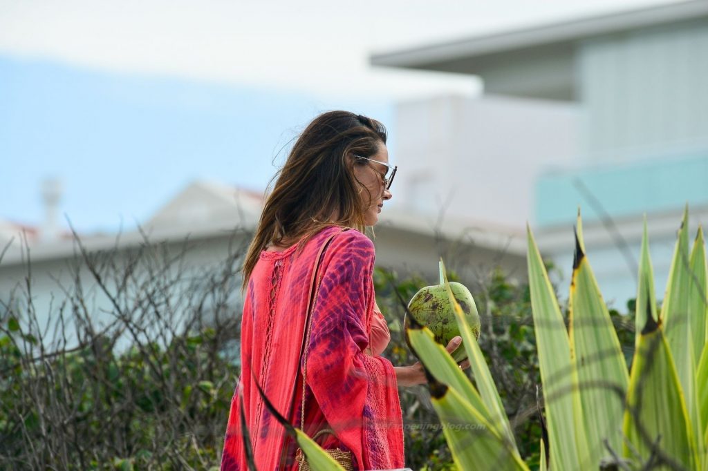 Alessandra Ambrosio Looks Hot on the Beach in Brazil (64 Photos)