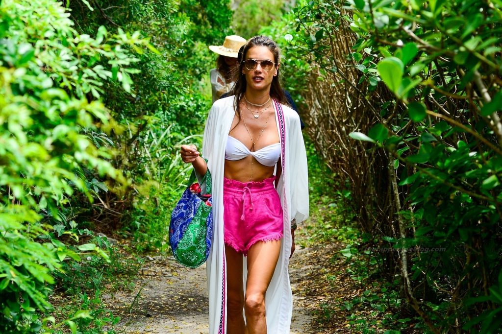 Alessandra Ambrosio Can’t Get Enough of the Sunny and Hot Brazilian Weather (65 Photos)