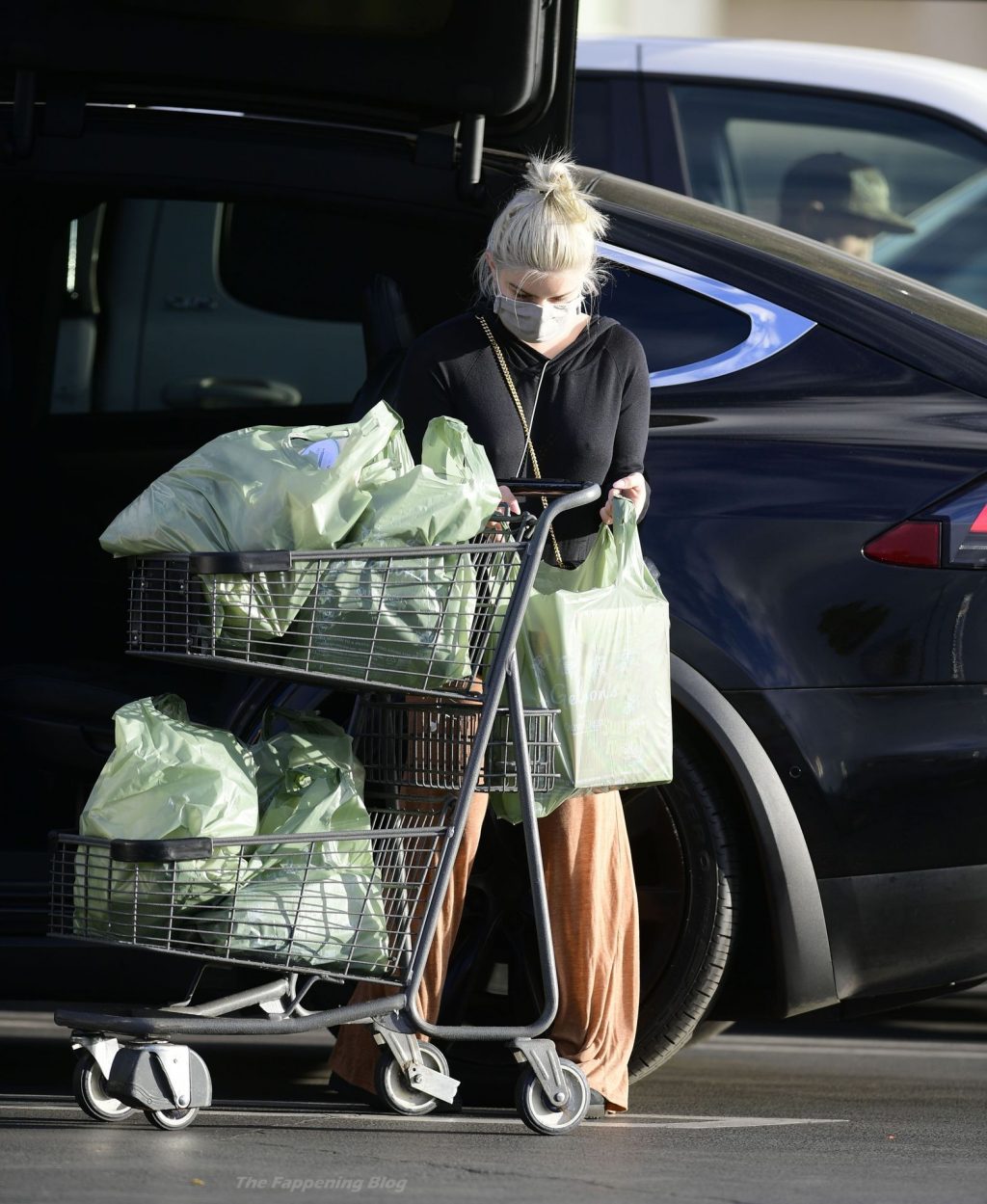 Ariel Winter Hits the Grocery Store in Los Angeles (45 Photos)