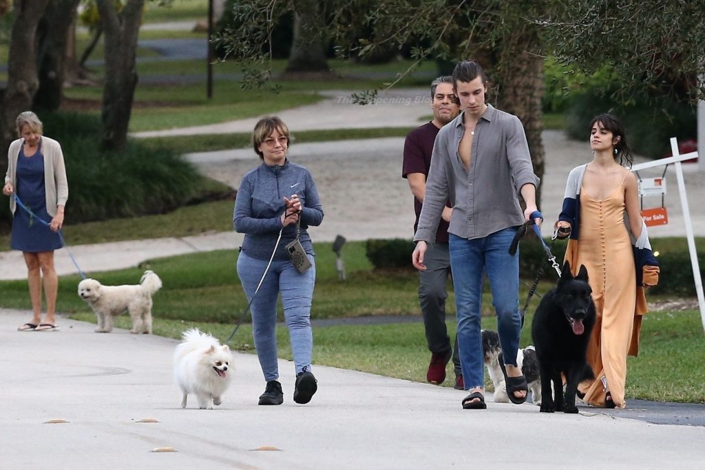 Shawn Mendes &amp; Camila Cabello Keep a Tight Hold on Their Dogs During a Walk (27 Photos)