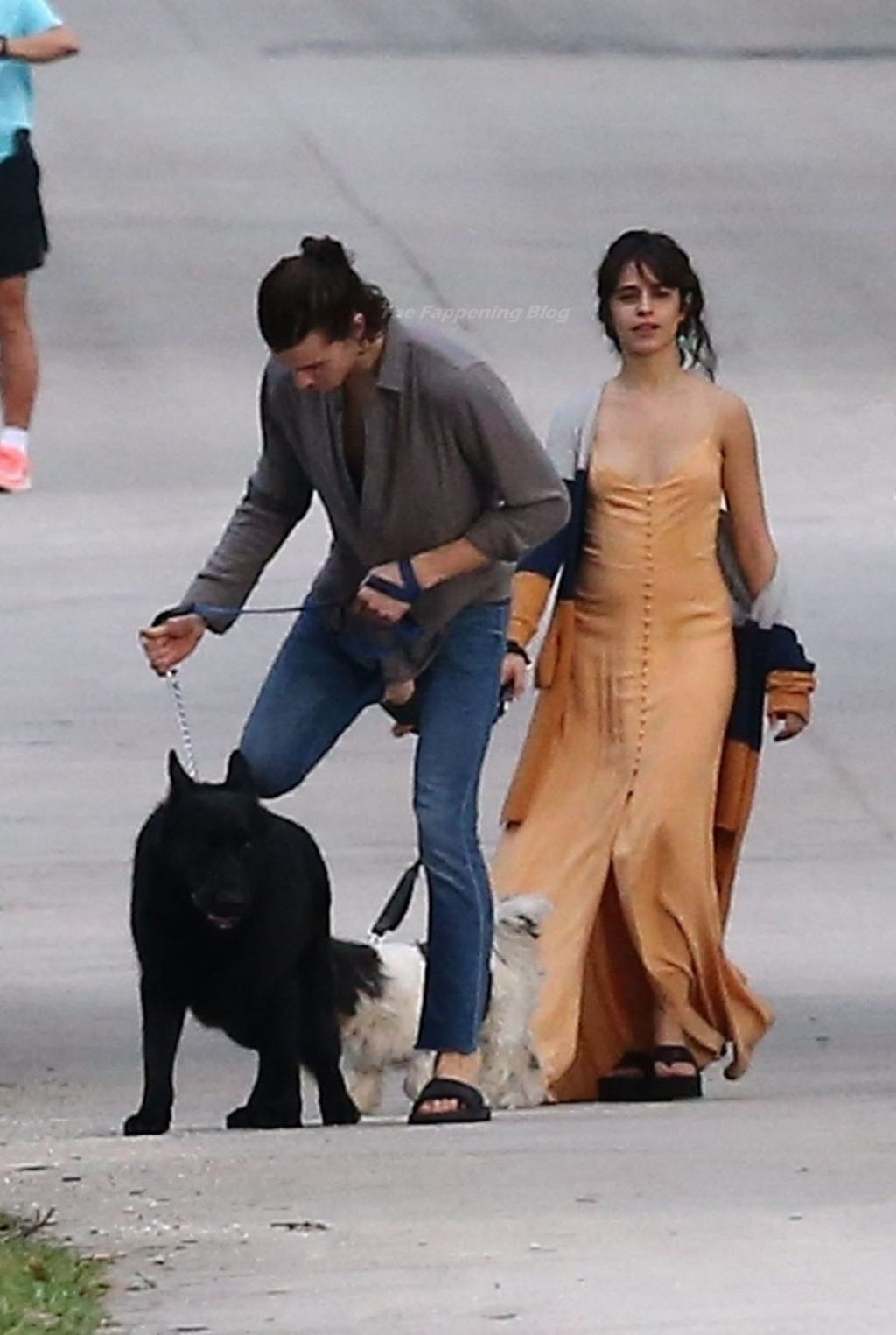 Shawn Mendes &amp; Camila Cabello Keep a Tight Hold on Their Dogs During a Walk (27 Photos)