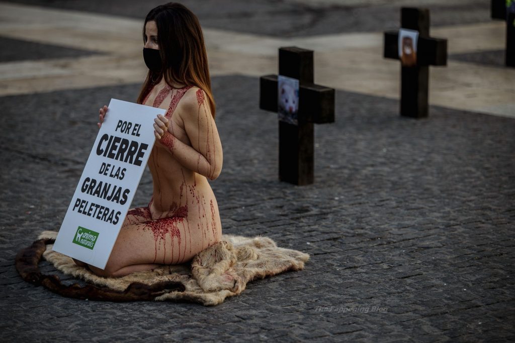 Animal Rights Activists Protest Fur Farms (12 Photos)