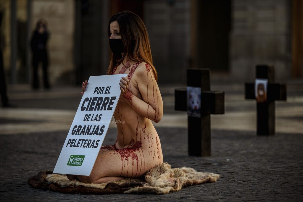 Animal Rights Activists Protest Fur Farms (12 Photos)