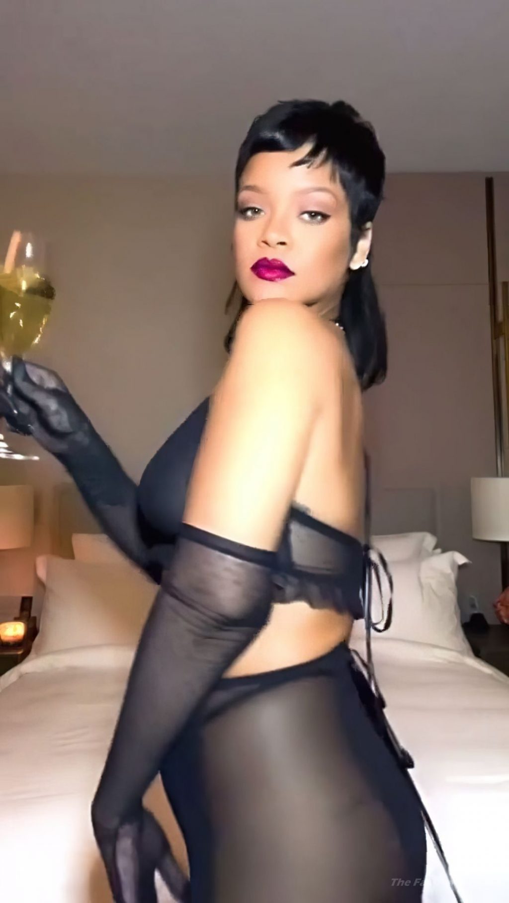 Rihanna See Through &amp; Sexy (11 Pics + Video)