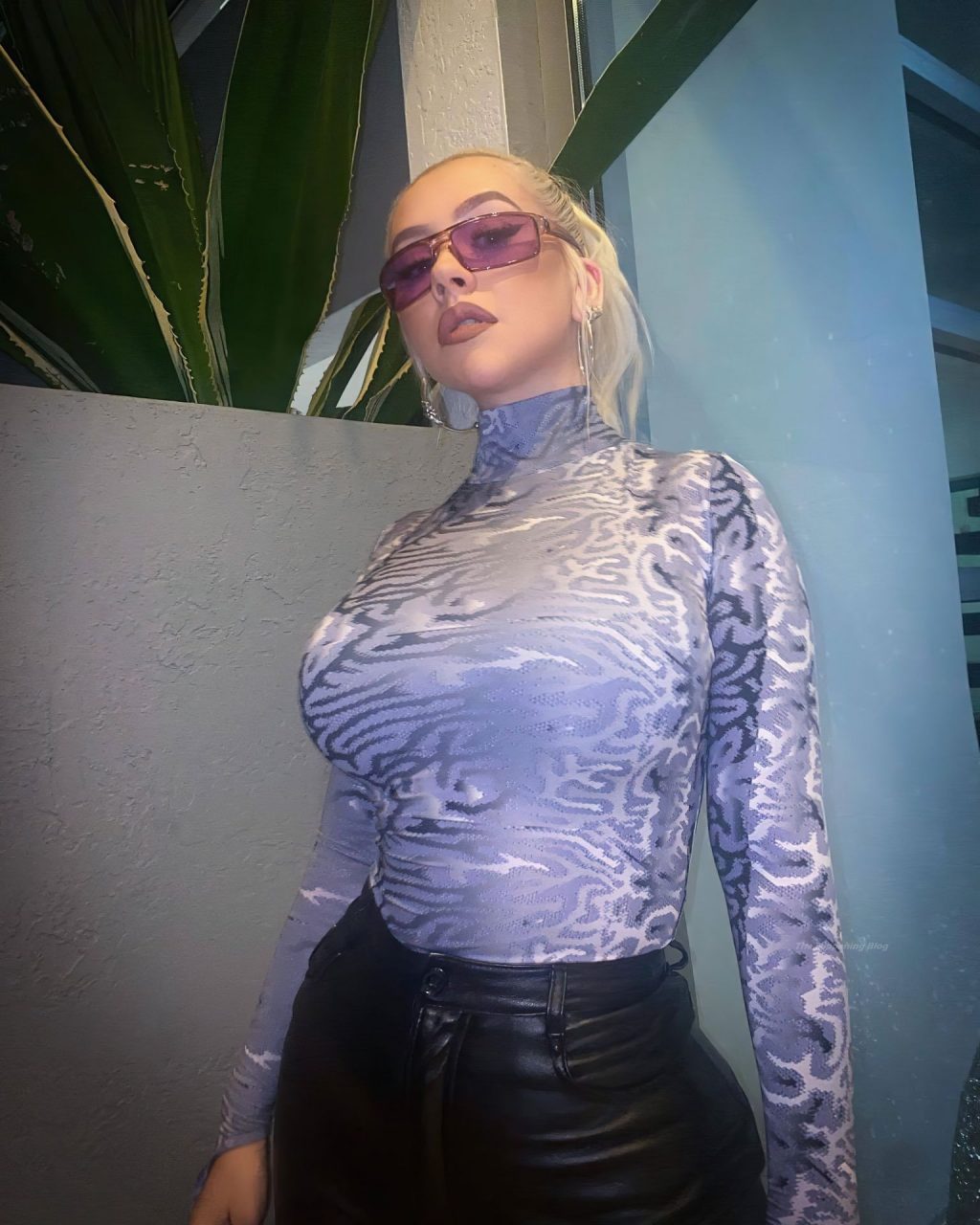 Christina Aguilera Topless &amp; Sexy (16 Photos)