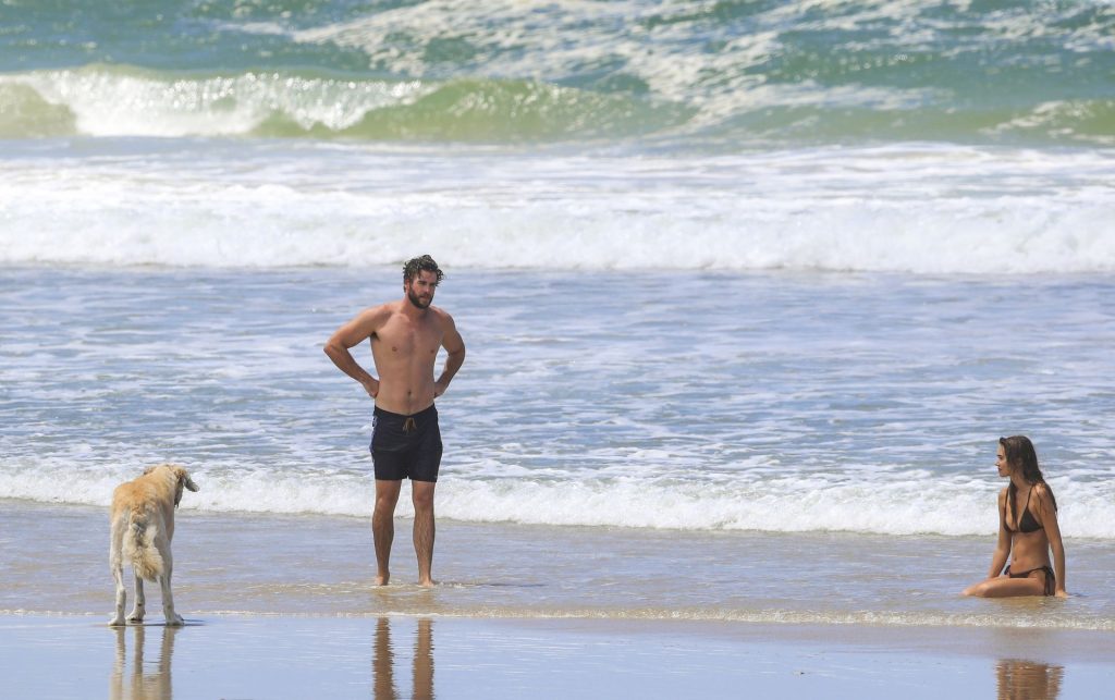 Liam Hemsworth &amp; Gabriella Brooks Head to the Beach with Their Dogs (59 Photos)