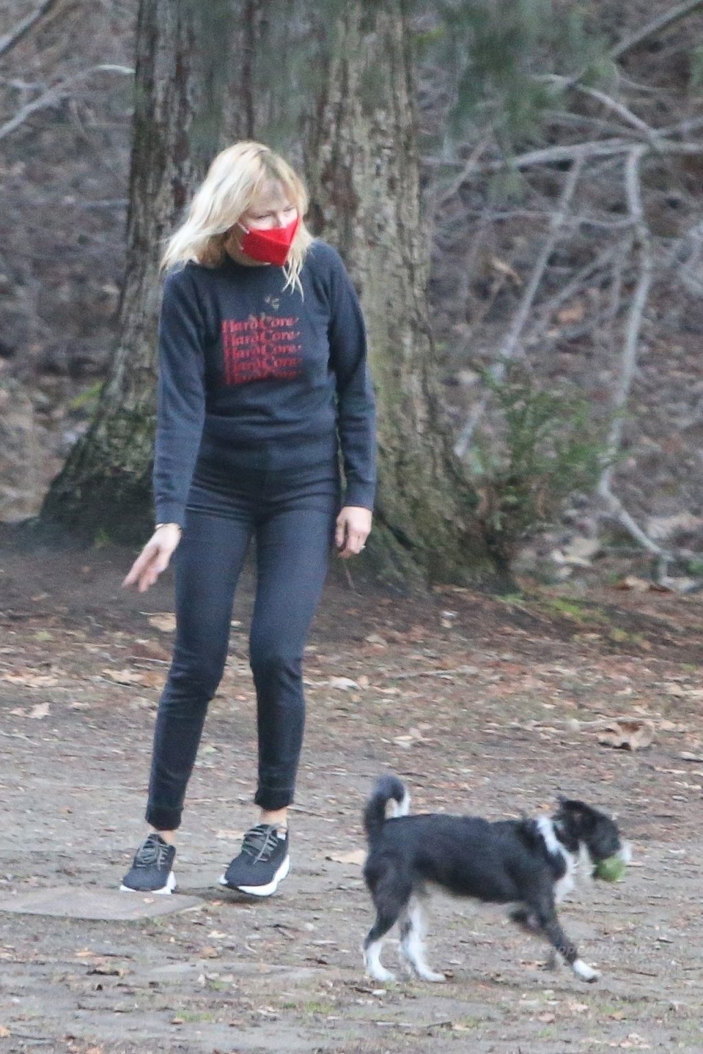 Braless Malin Akerman Enjoys an Afternoon at the Park with Her Dogs (36 Photos)