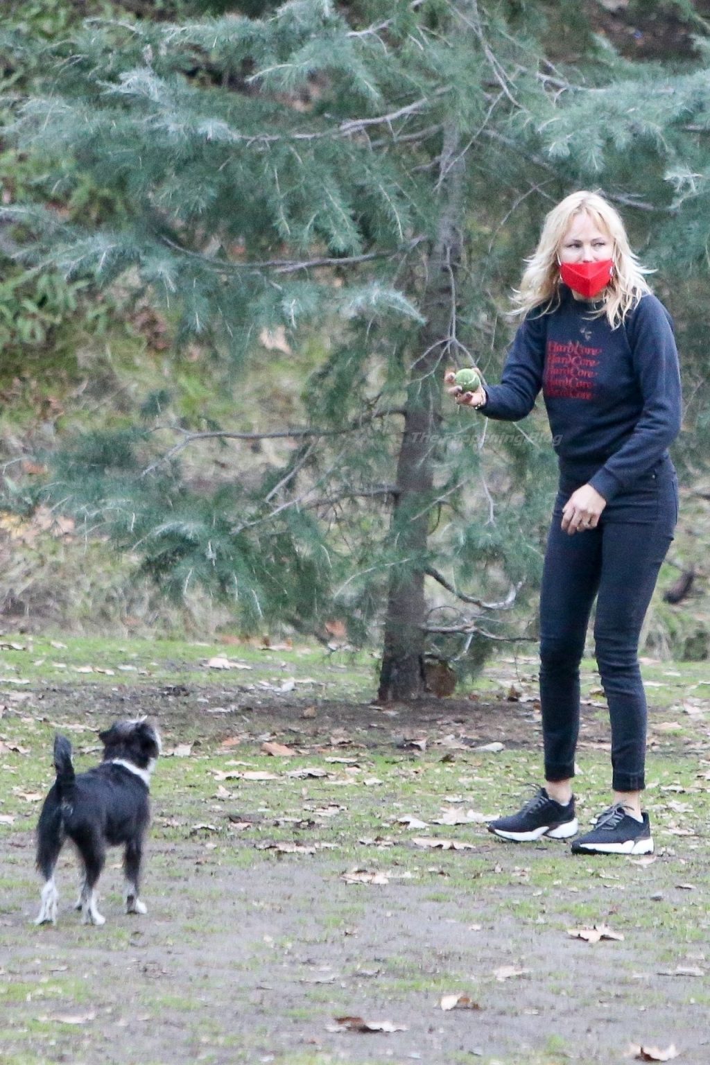 Braless Malin Akerman Enjoys an Afternoon at the Park with Her Dogs (36 Photos)