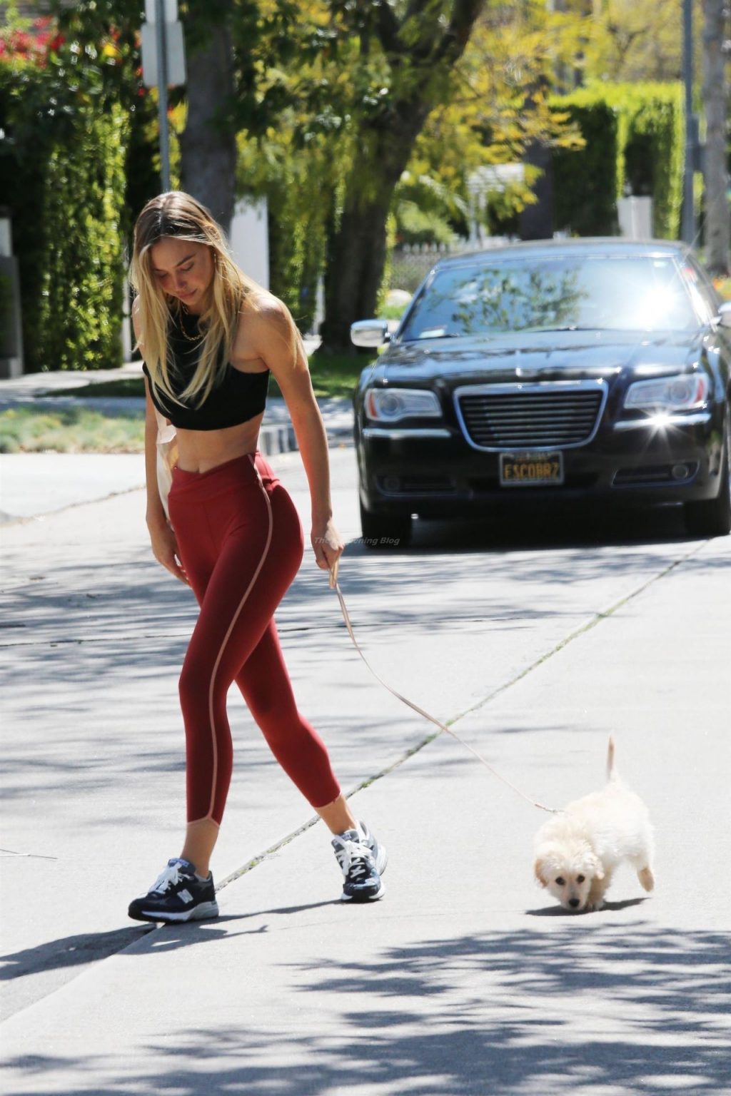 Alexis Ren Brings Her Puppy Along During a Workout Session (53 Photos)