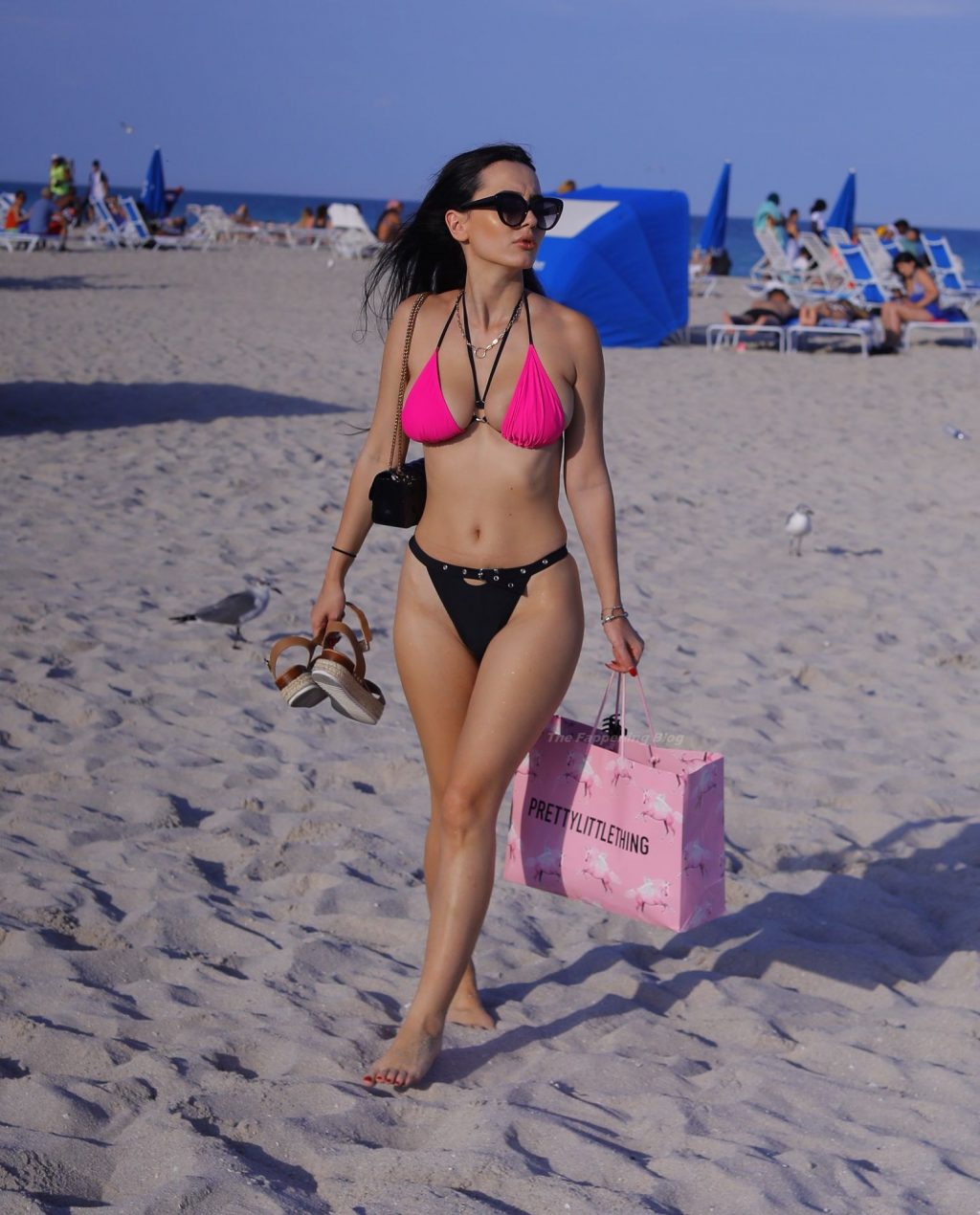 Iva Kovacevic Shows Off Her Sexy Body in a Bikini on the Beach in Miami (29 Photos)
