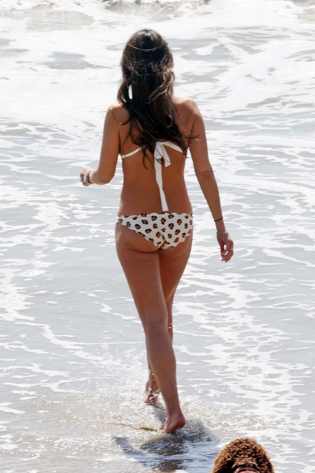 Jordana Brewster Looks Half Her Age Frolicking on the Beach (27 Photos)