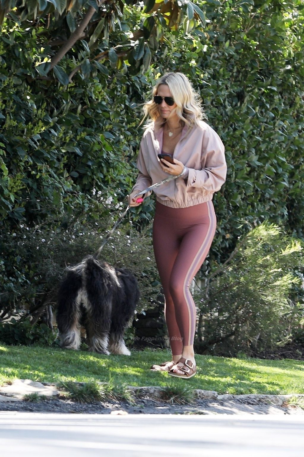 Molly Sims Snaps Selfies with Her Dog During a Morning Stroll (37 Photos)