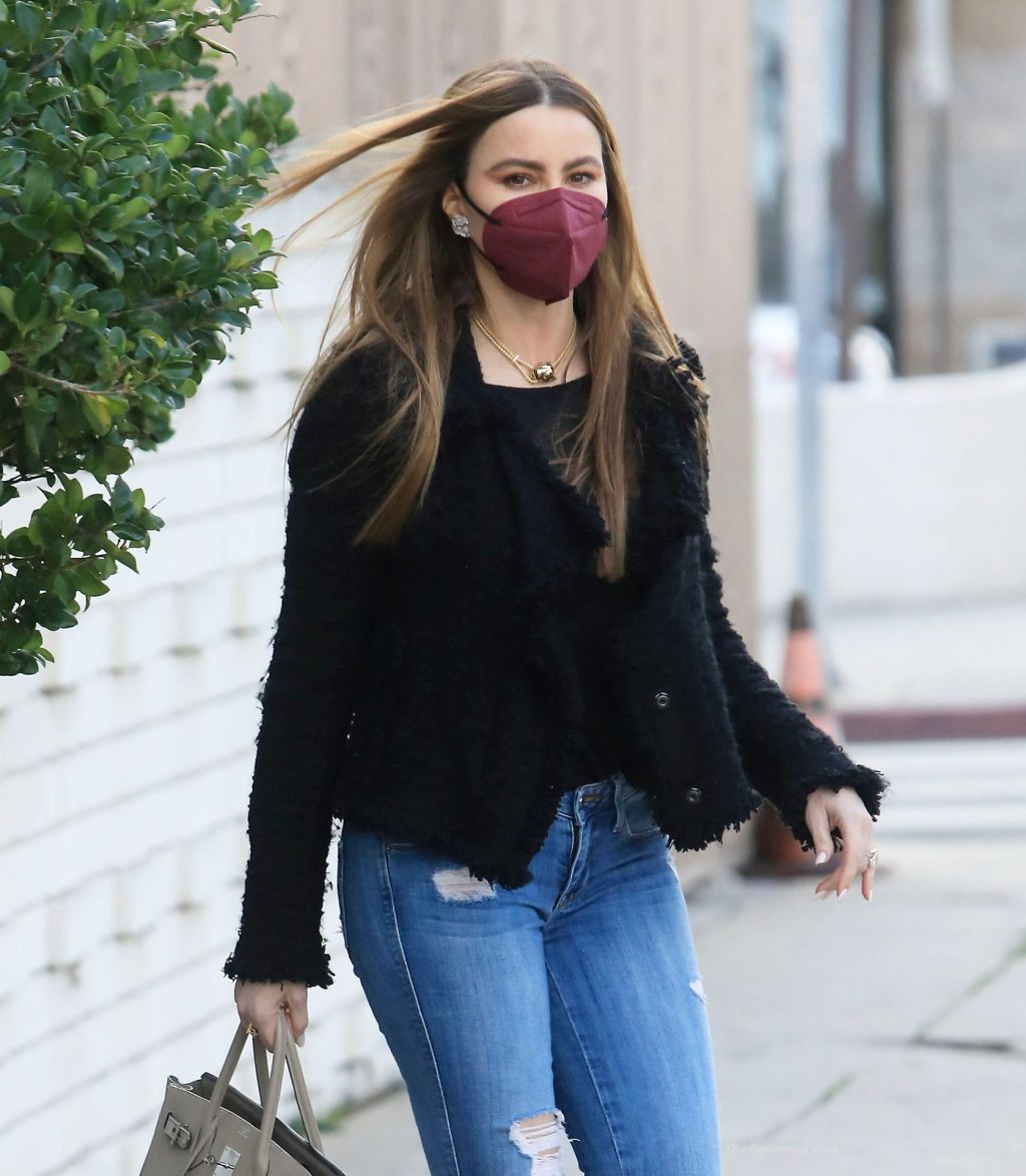 Sofia Vergara is Still Flying High After Judge Rules in Her Favor (24 Photos)