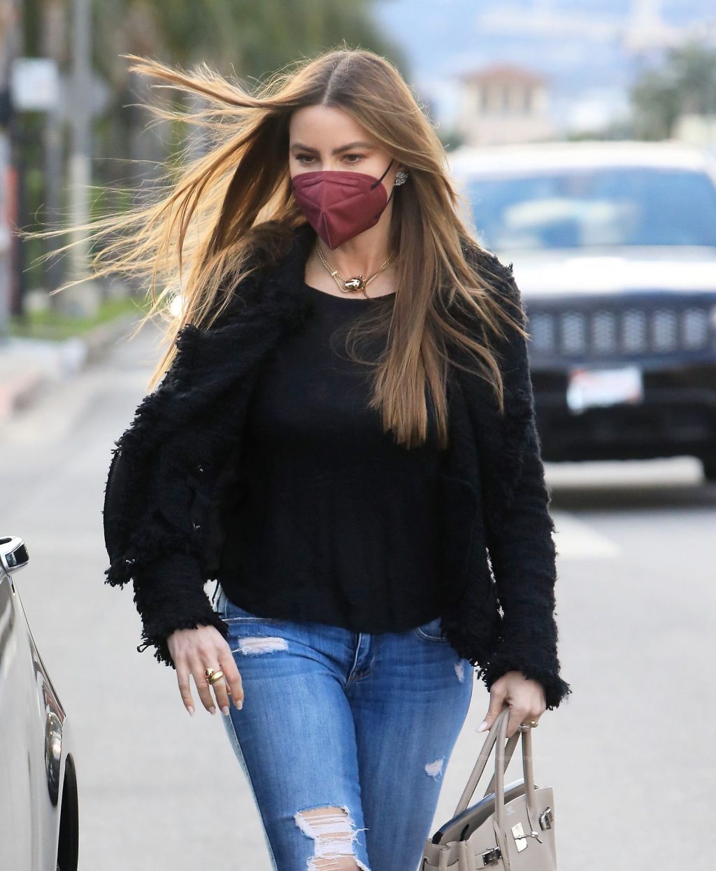 Sofia Vergara is Still Flying High After Judge Rules in Her Favor (24 Photos)
