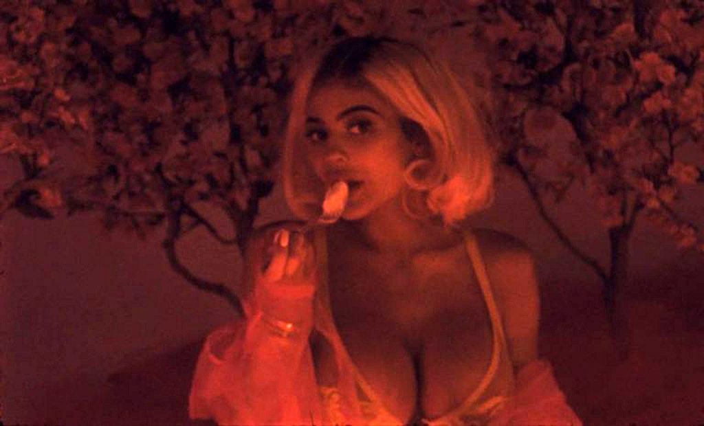 Kylie Jenner Nude &amp; Sexy (183 Photos + Leaked PORN With Travis Scott &amp; 2021 News)