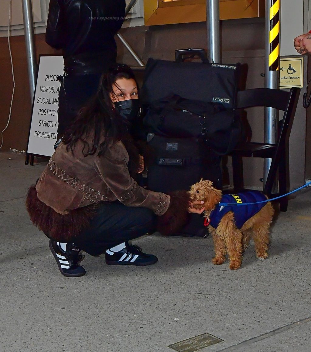 Bella Hadid Makes Friends with NYPD Puppy While Waiting For Rapid COVID Test Result in NYC (61 Photos)