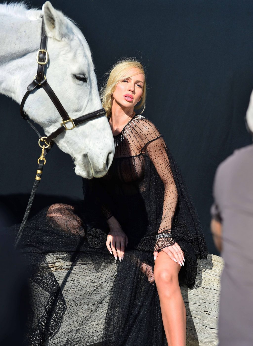 Christine Quinn Shows Her Pregnant Boobs on a Beach Photoshoot with a Horse in Malibu (32 Photos)