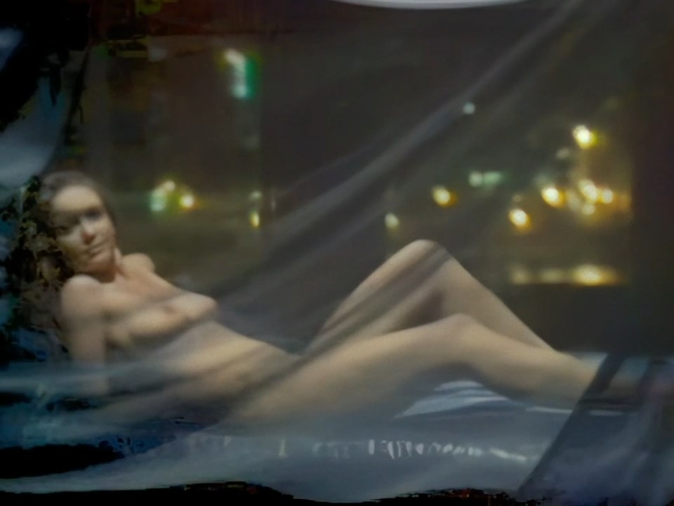 Diane Lane Nude – Lady Beware (17 Pics + Remastered &amp; Enhanced Video)