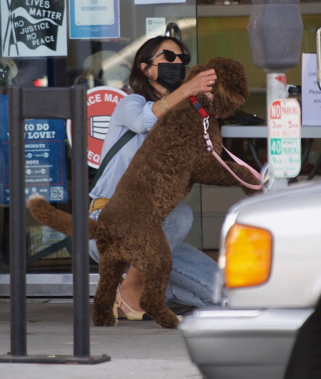 Jordana Brewster Picks Up Her Cute Dog From The Groomer in LA (30 Photos)