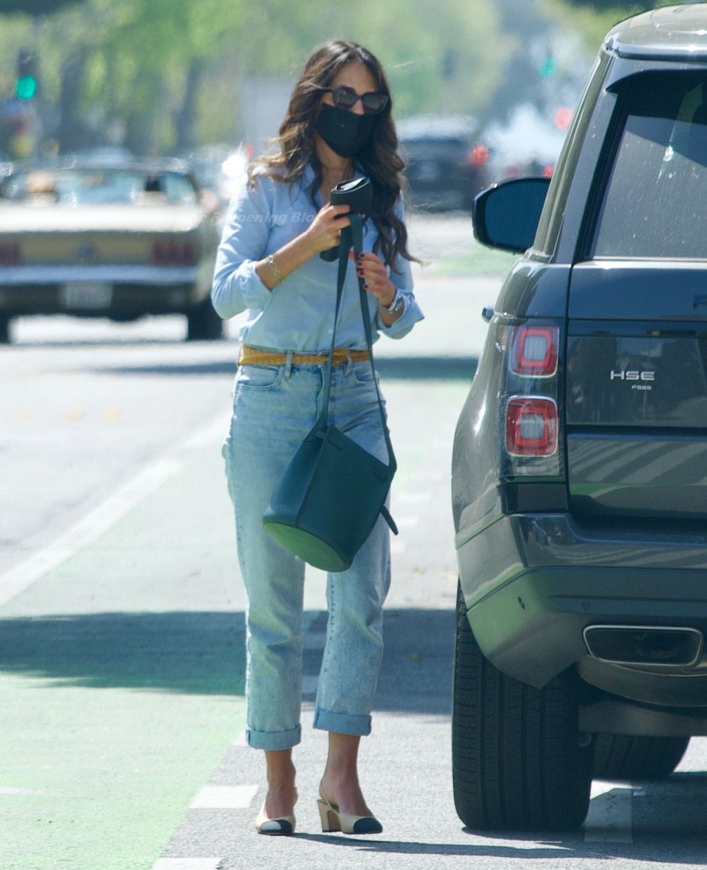 Jordana Brewster Picks Up Her Cute Dog From The Groomer in LA (30 Photos)