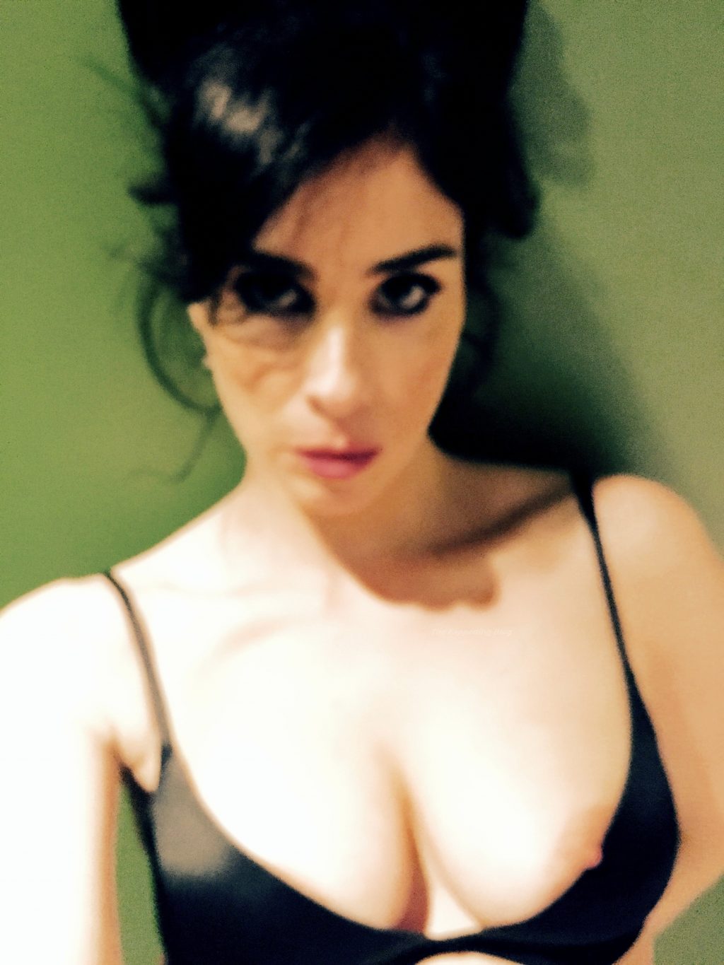 Sarah Silverman Nude Leaked The Fappening (12 New Photos)