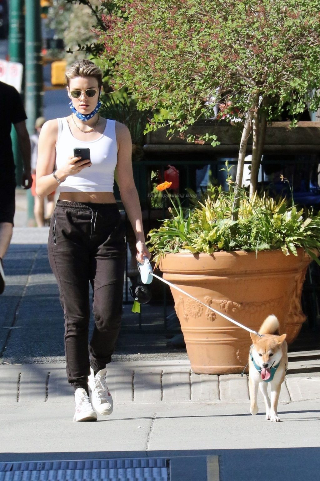 Braless Wallis Day Takes Her Dog For a Walk on Her Day Off From Filming (10 Photos)
