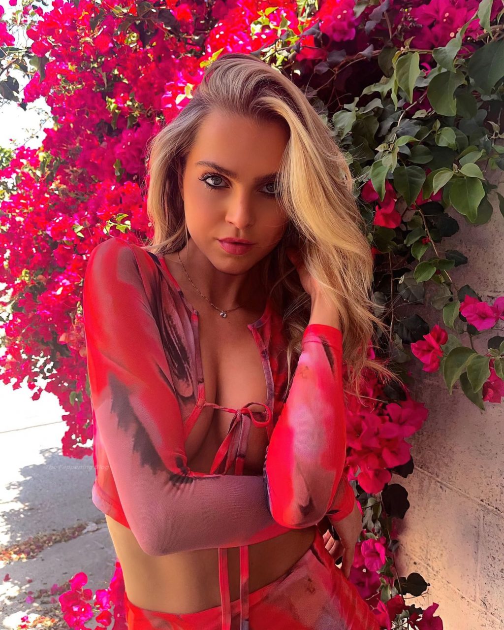 Anne Winters Sexy (24 Photos)