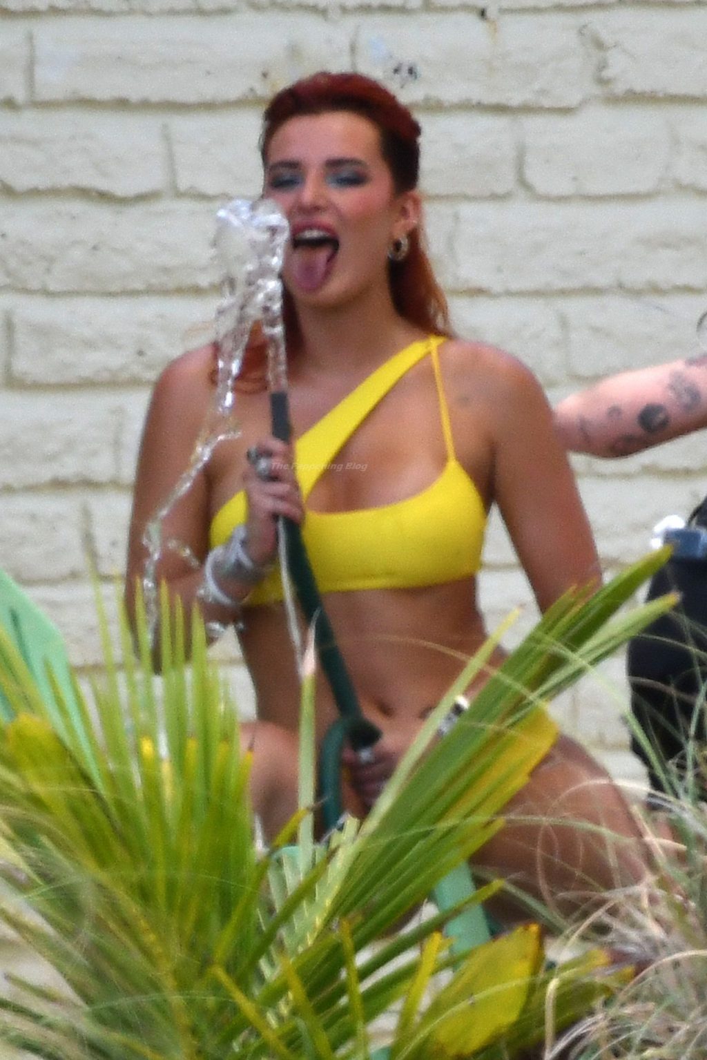 Bella Thorne Poses Seductively with a Water Hose During a Shoot in Miami (79 Photos)