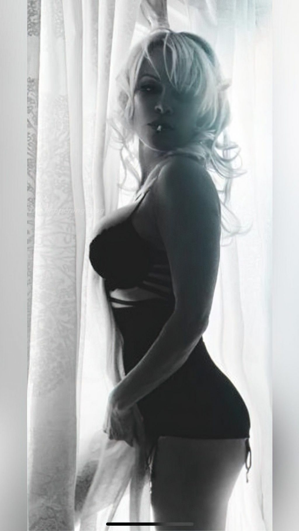 Pamela Anderson Sexy (39 Photos)