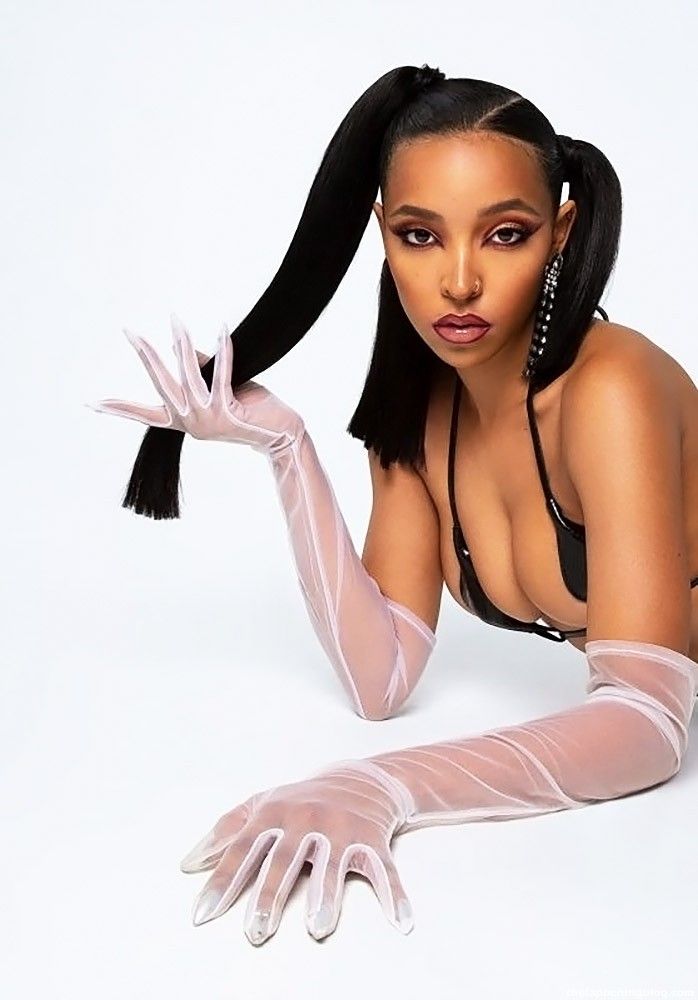 Tinashe Nude &amp; Sexy (159 Photos + Possible LEAKED Sex Video)