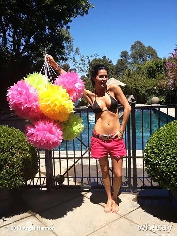 Angie Harmon Nude, Topless &amp; Sexy (111 Photos + Video Scenes)