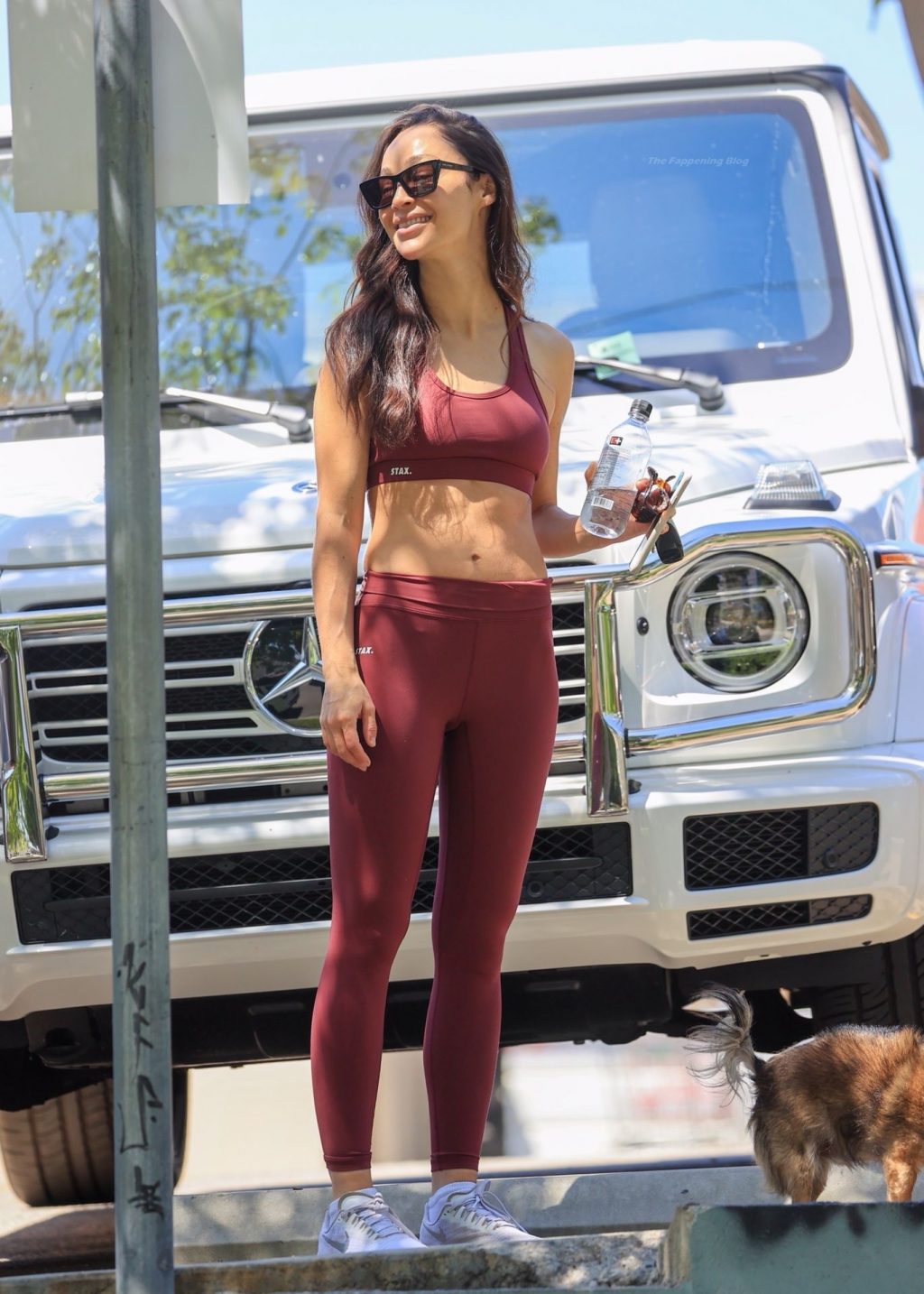 Cara Santana Shows Off Her Red Hot Abs After Gym Session in LA (16 Photos)