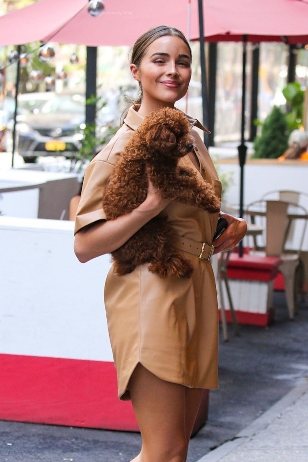 Leggy Olivia Culpo Steps Out in Neutral Browns For a Walk with Adorable Pooch (22 Photos)